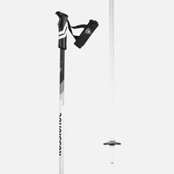 Bastoncini da sci Rossignol Electra Premium R-Clip neri